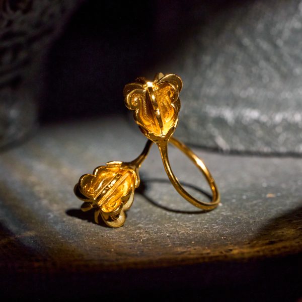 RAK AMBASSADOR NO.011