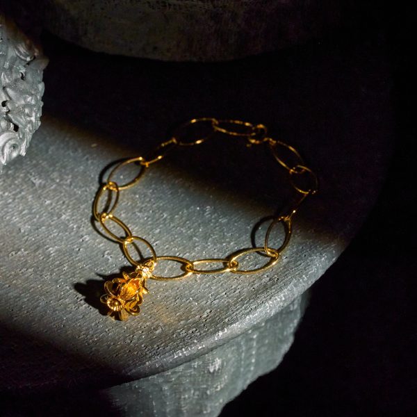 RAK AMBASSADOR NO.010