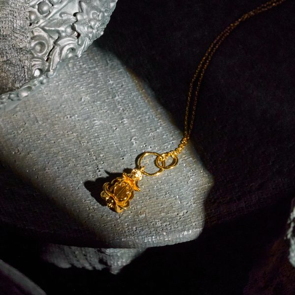 RAK AMBASSADOR NO.005